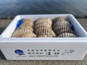 ホタテ貝野付産